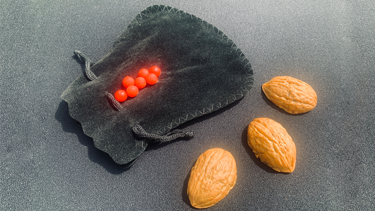 Street Shells | Whit Haydn and Chef Anton
