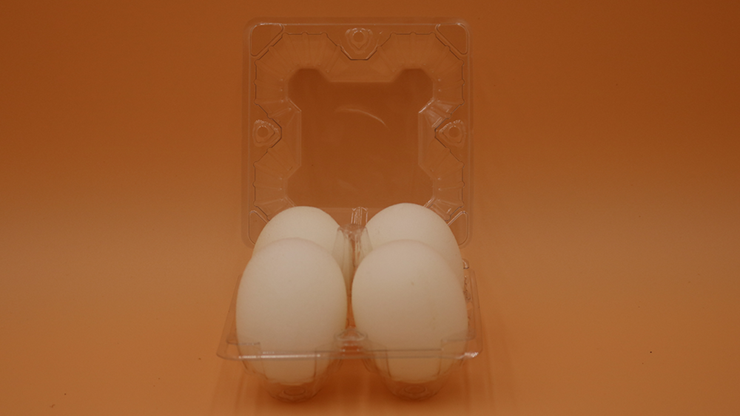 Sponge Eggs (4pk.) | Alan Wong