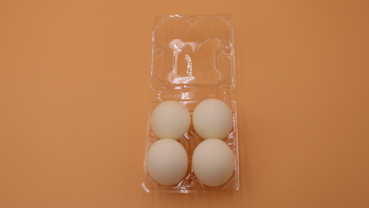 Sponge Eggs (4pk.) | Alan Wong