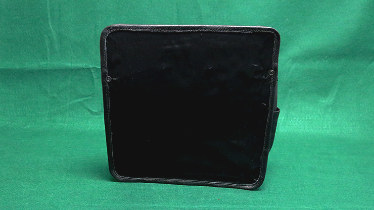 PARLOR PLUS POUCH | The Ambitious Card