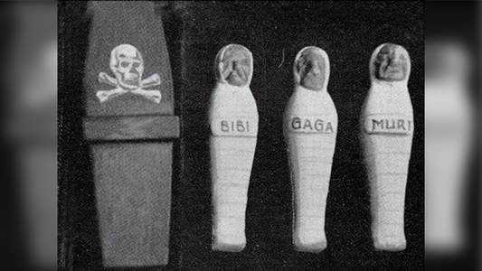 The Magic of Karl Elder - Godfather of Micro-Magic | Collector's Workshop