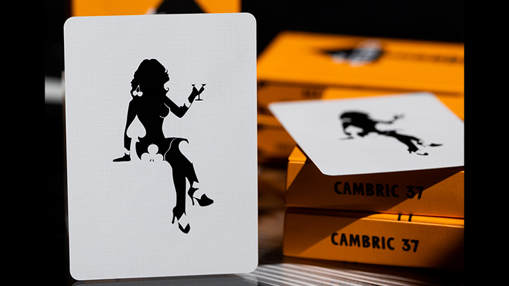 ACE FULTON'S CASINO V3 PLAYING CARDS