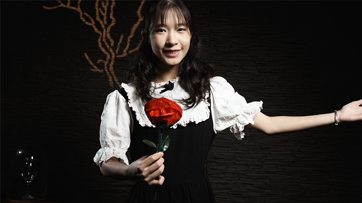 Fantasy Rose | Leon, Bond Lee & MS Magic