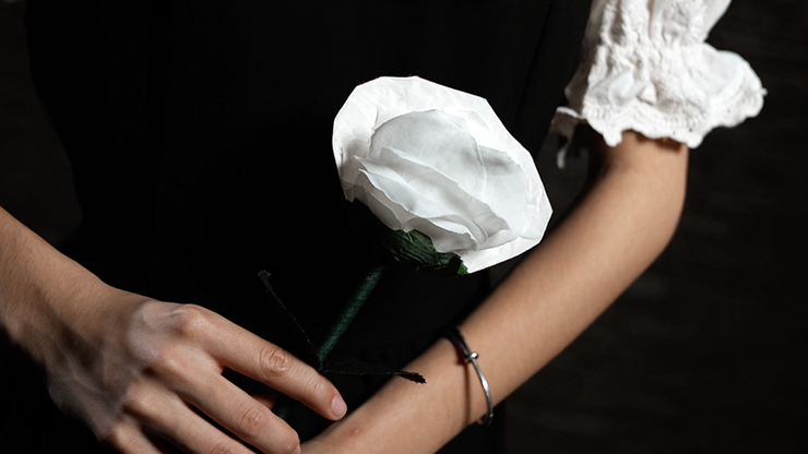 Fantasy Rose | Leon, Bond Lee & MS Magic