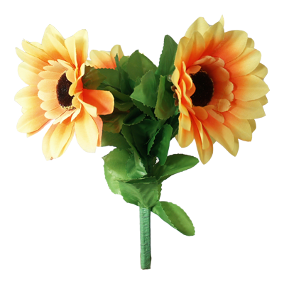 Amazing Split Sunflower | Premium Magic