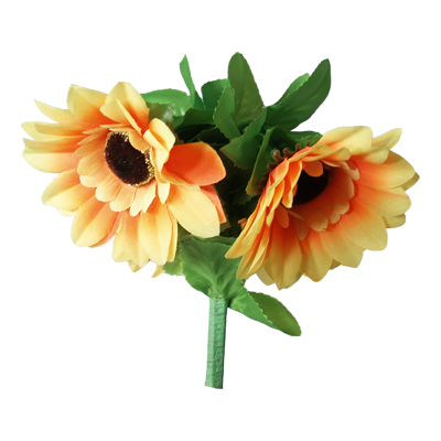 Amazing Split Sunflower | Premium Magic