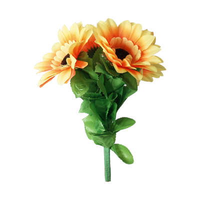 Amazing Split Sunflower | Premium Magic