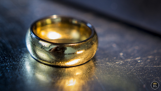 Ash and Ember Gold Curved Size 8 (2 Rings) | Zach Heath