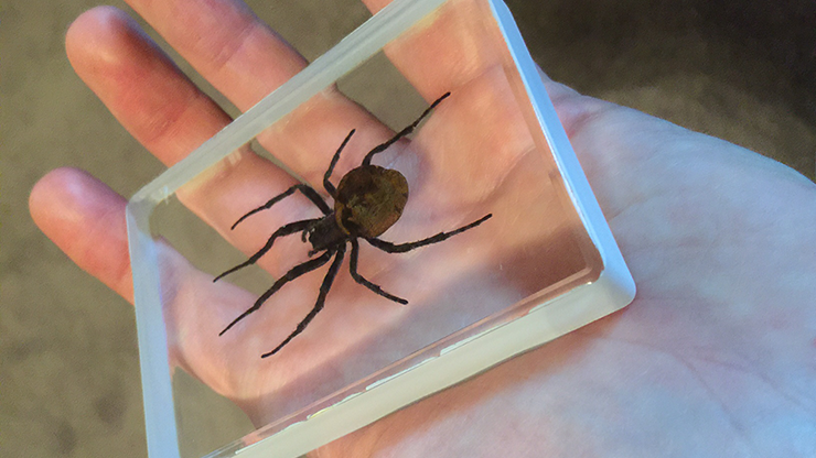 Ominous Deck (Spider) | Diamond Jim Tyler