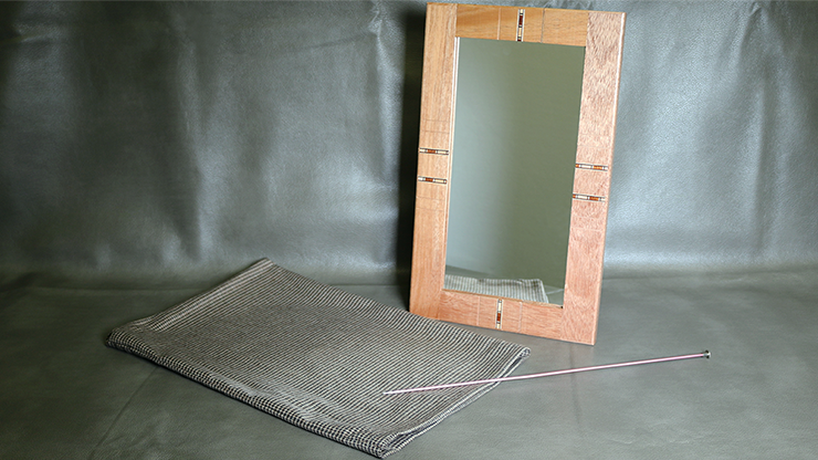 Flexible Mirror/Needle Through Mirror | Tony Karpinski