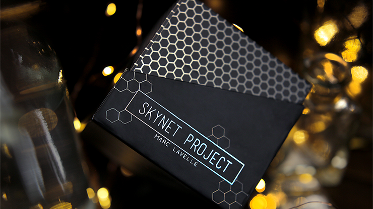 Skynet Project | Marc Lavelle