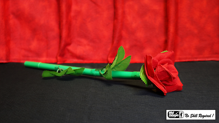 Break Away Rose | Mr. Magic