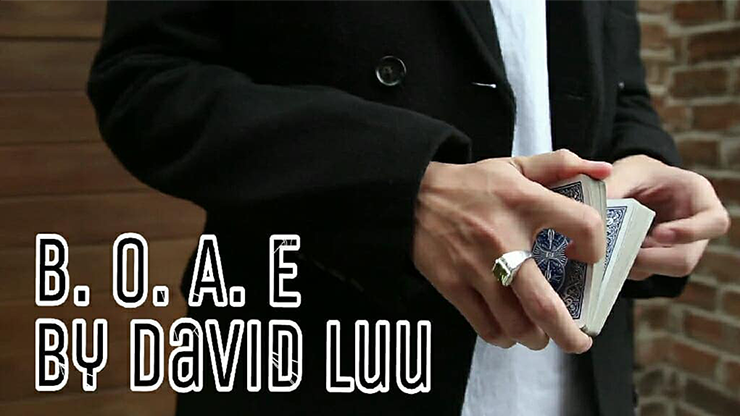 Blink Of An Eye | David Luu - (Download)