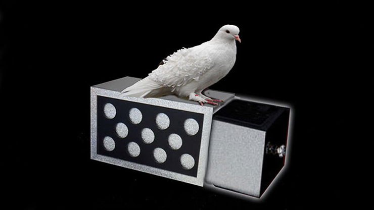 Drawer Box with Holes (Silver) | Tora Magic