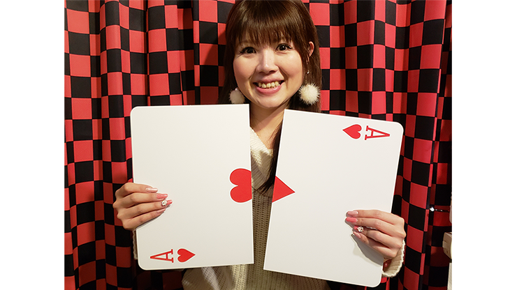 Jumbo Split Card | Syouma