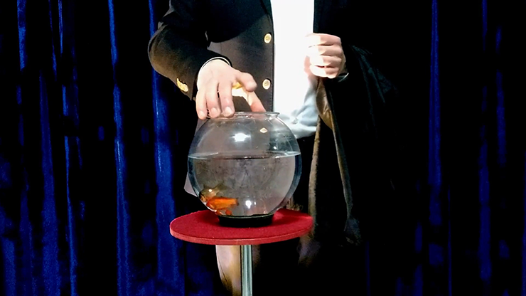 Appearing Fish in Bowl | Sorcier Magic
