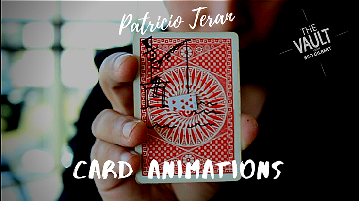 The Vault - Card Animations | Patricio Teran - (Download)