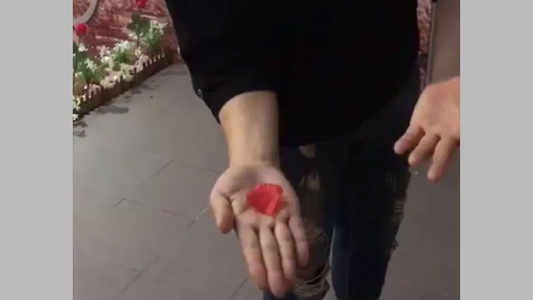 PETAL TO COIN | JL Magic