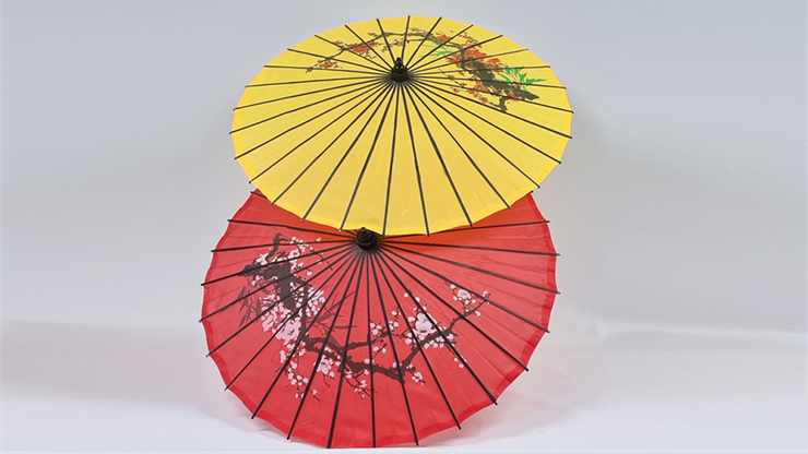 Umbrella From Bandana Set | JL Magic