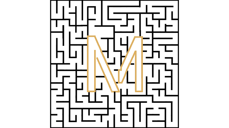 VERTICAL LAB PUZZLE (Easy) | MyMagic