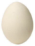 Wooden Egg | Bazar de Magia