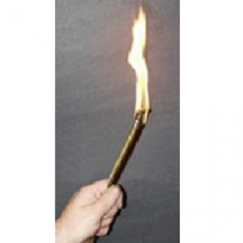 Burning and disappearing torch