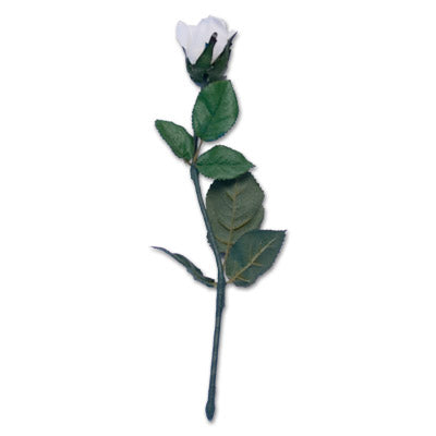 Instant Rose Creation | Visual Magic