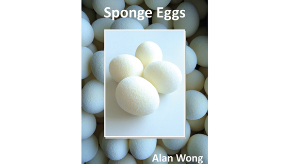 Sponge Eggs (4pk.) | Alan Wong 