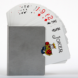 Card Guard (Classic) | Bazar de Magia 
