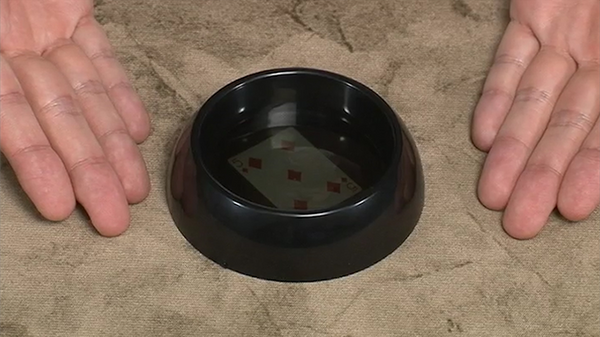 Water Crystal | Tenyo 