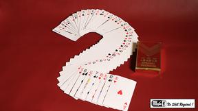 Electric Deck Deluxe (52 Cards Bridge) | Mr. Magic 