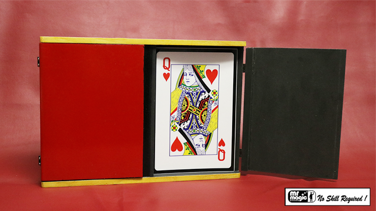 Sucker Card Box Jumbo | Mr. Magic 