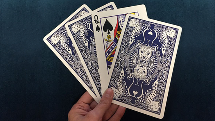 Max Maven's Jumbo B'Wave (Black Queen) 
