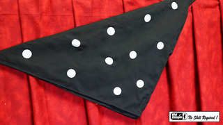 Polka Dot Silk (18