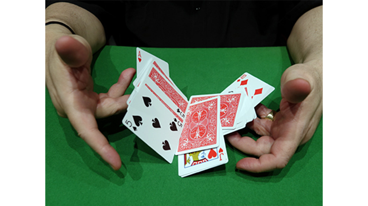 CIB: Cards In Bag (Gimmicks and Instructions) | Dominique Duvivier 