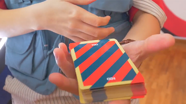 Broken Borders 2019 Playing Cards | The New Deck Order