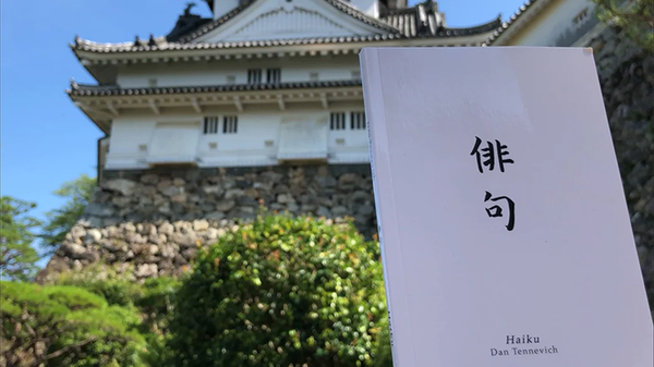 Haiku Book Test 2.0 | Vincent Hedan 