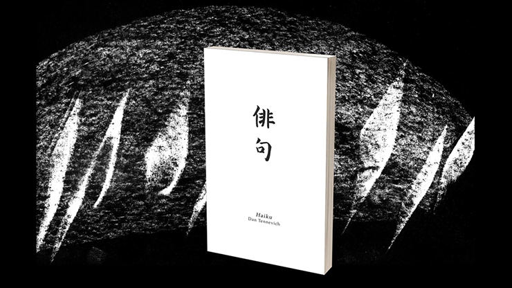 Haiku Book Test 2.0 | Vincent Hedan 