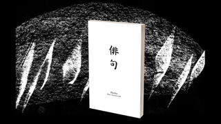 Haiku Book Test 2.0 | Vincent Hedan 