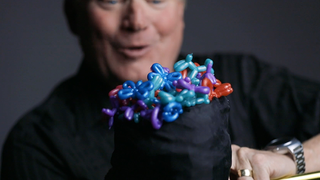 Animinimals | Billy Damon 