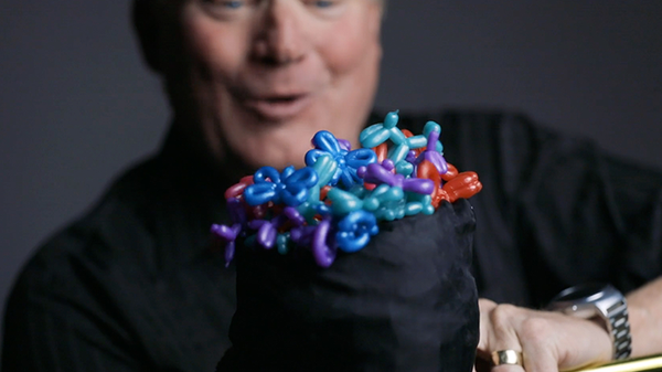 Animinimals | Billy Damon 