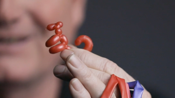 Animinimals | Billy Damon 