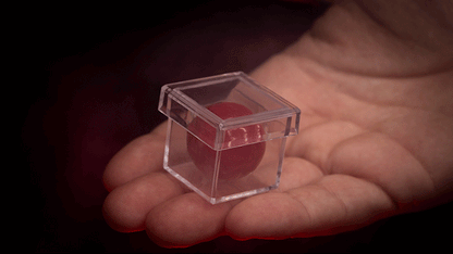 MAGIC CHAMBER (Gimmicks and Instructions) | Apprentice Magic 