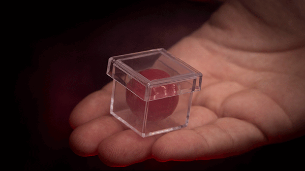 MAGIC CHAMBER (Gimmicks and Instructions) | Apprentice Magic 