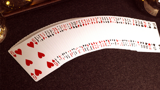 Bicycle 4 Index Blue 