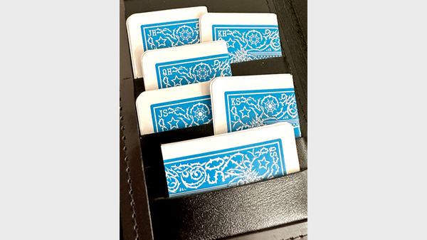 Mis-Indexed Court Cards (LIGHT) - Pack of 12 | Steve Dela 