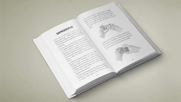 Multitude | Vincent Hedan 