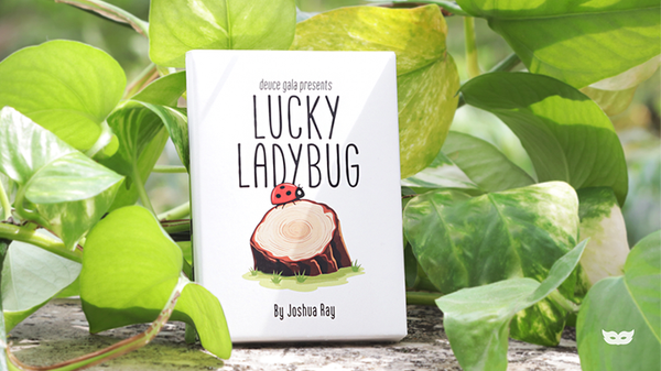 Lucky Ladybug (Log) | Joshua Ray & Deuce Gala Magic