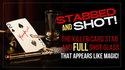 Stabbed & Shot 2 | Bill Abbott 