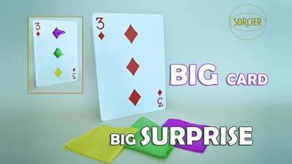 BIG CARD - BIG SUPRISE | Sorcier